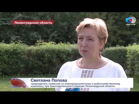 ЛОТ: Владимир Цой в сюжете "Мелочь, а приятно" об обнаружении клада на территории Выборгского замка