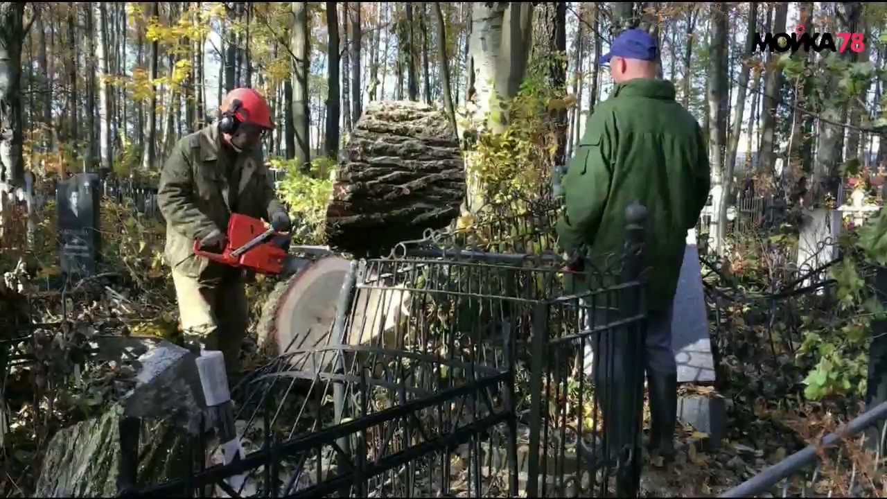 Владелец незаконной торговли против общественников