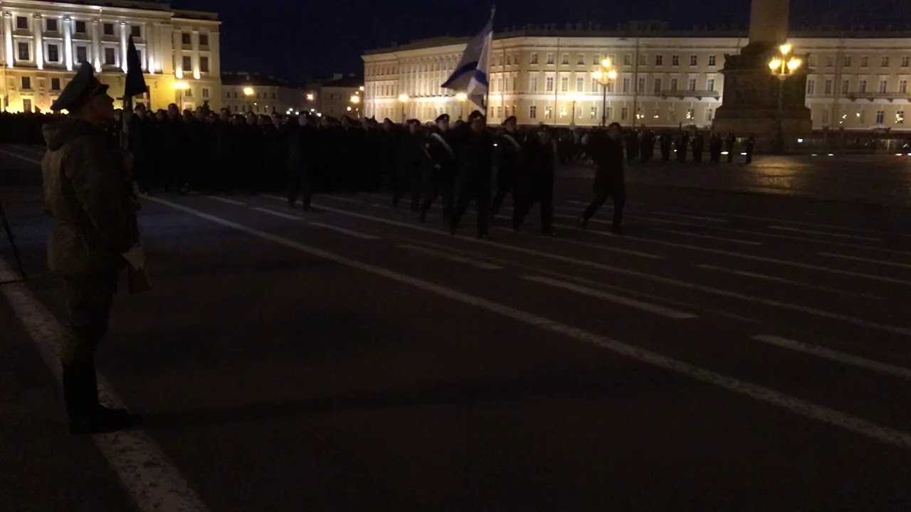 Самолет кружит над Пулково из-за лисы