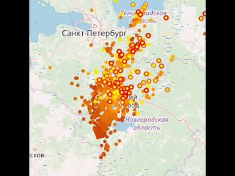 Полиция раскрыла карманную кражу в центре Петербурга