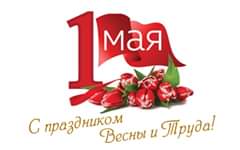 На данном изображении может находиться: цветок и текст