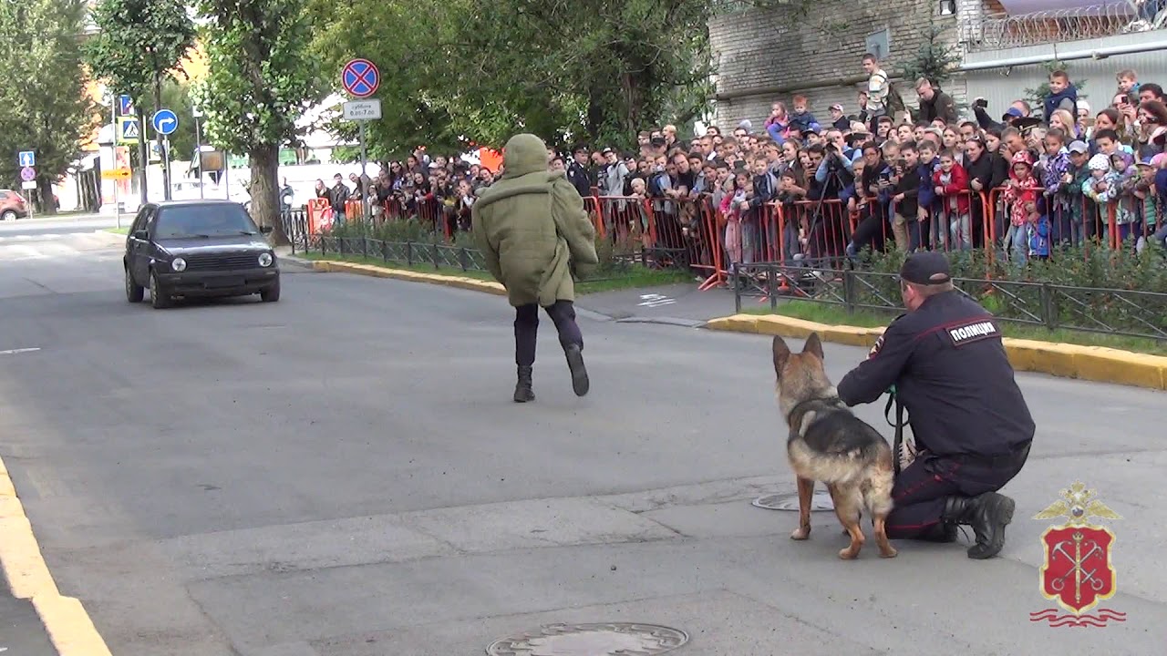 Азиатские игры в закрытых помещениях и по боевым искусствам – 2017 в Туркменистане