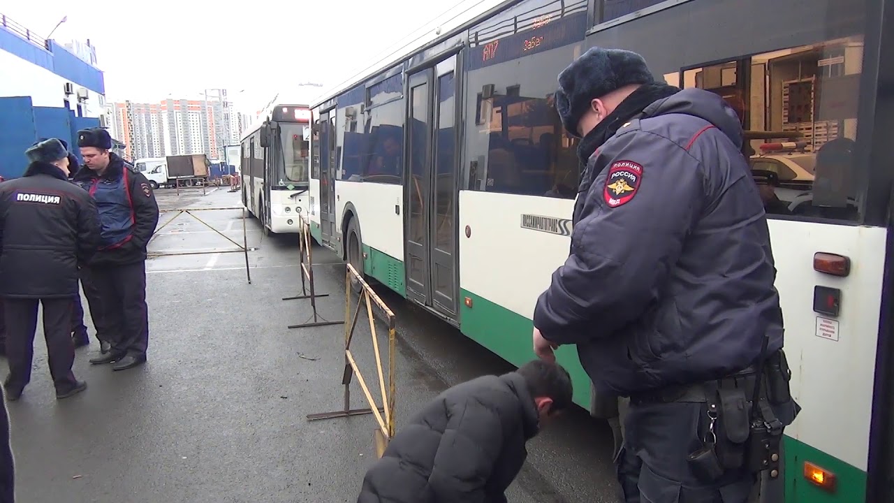 Новое видео:  «Короткий путь от «Да полицейские…