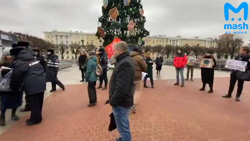 Новое видео:  «Питерские экоактивисты на климатическом...