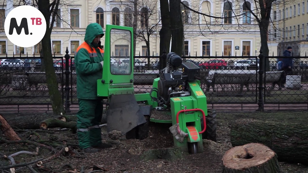 Тяжелобольной парень из Тихвина не может получить срочную…