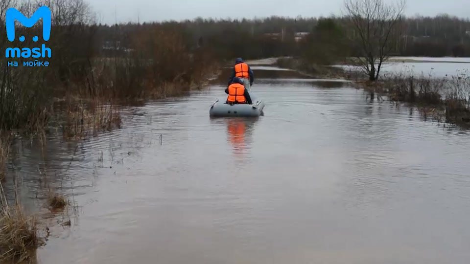 Новое видео:  «В Ленобласти появилось очень своеобразное...