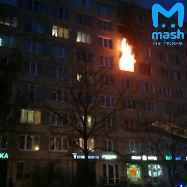 Новое видео:  «Пожар на Дыбенко»