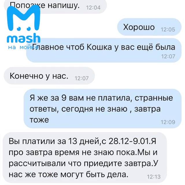 Новое видео:  «На домашней передержке в Колпино погибли...