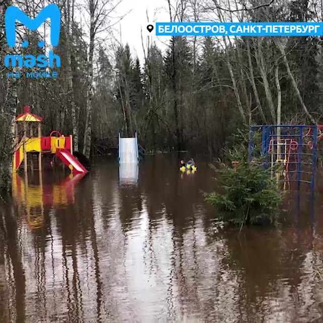 Новое видео:  «Потоп в Белоострове»