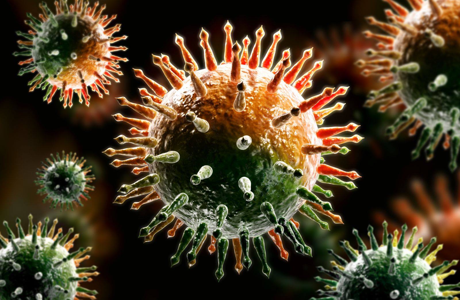 Дочь криминального авторитета рассказала о «1000 заболевших коронавирусом в Питере»