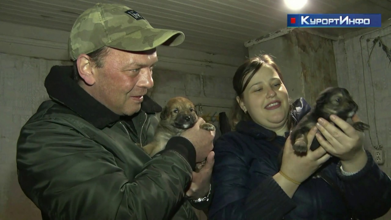 Здание муниципалитета в Песочном пострадало от пожара