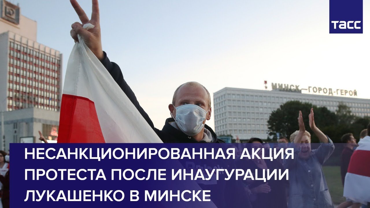 Новости СПбГУ: Энтомологи СПбГУ открыли редкий вид усатого тропического клопа