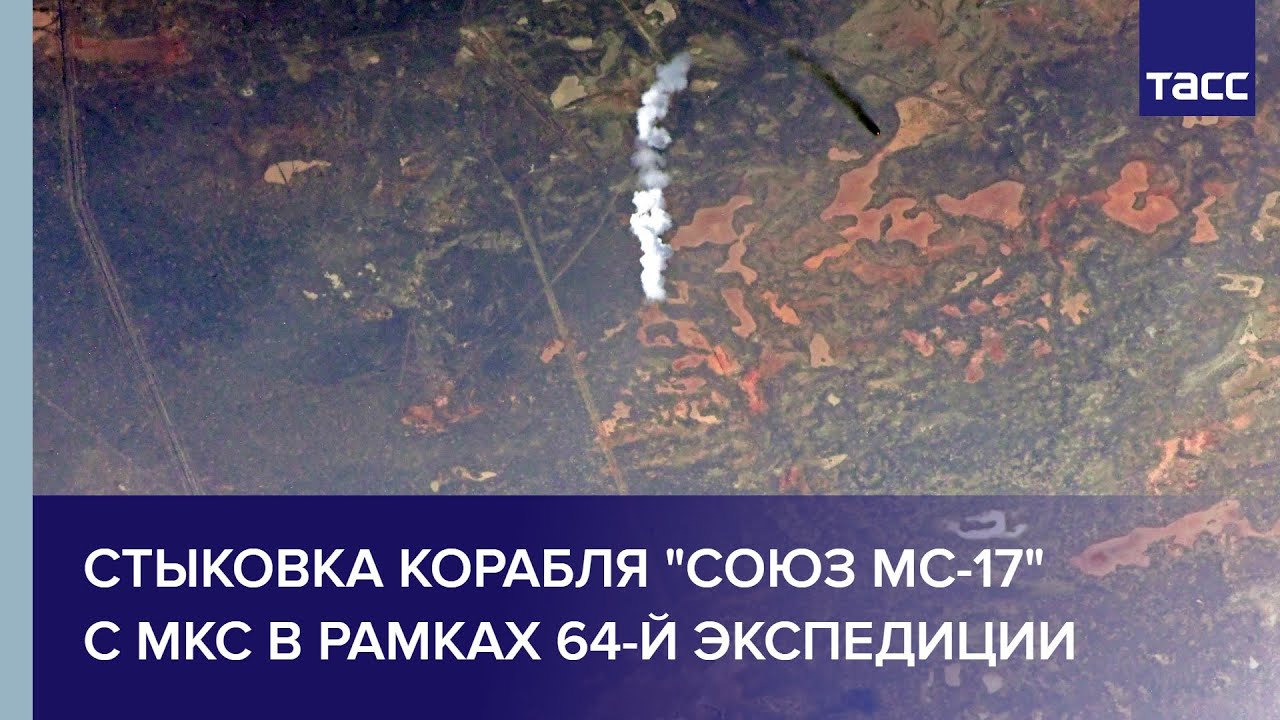 В Петербурге задержали группировку,  «прописавшую» в РФ более 500 мигрантов