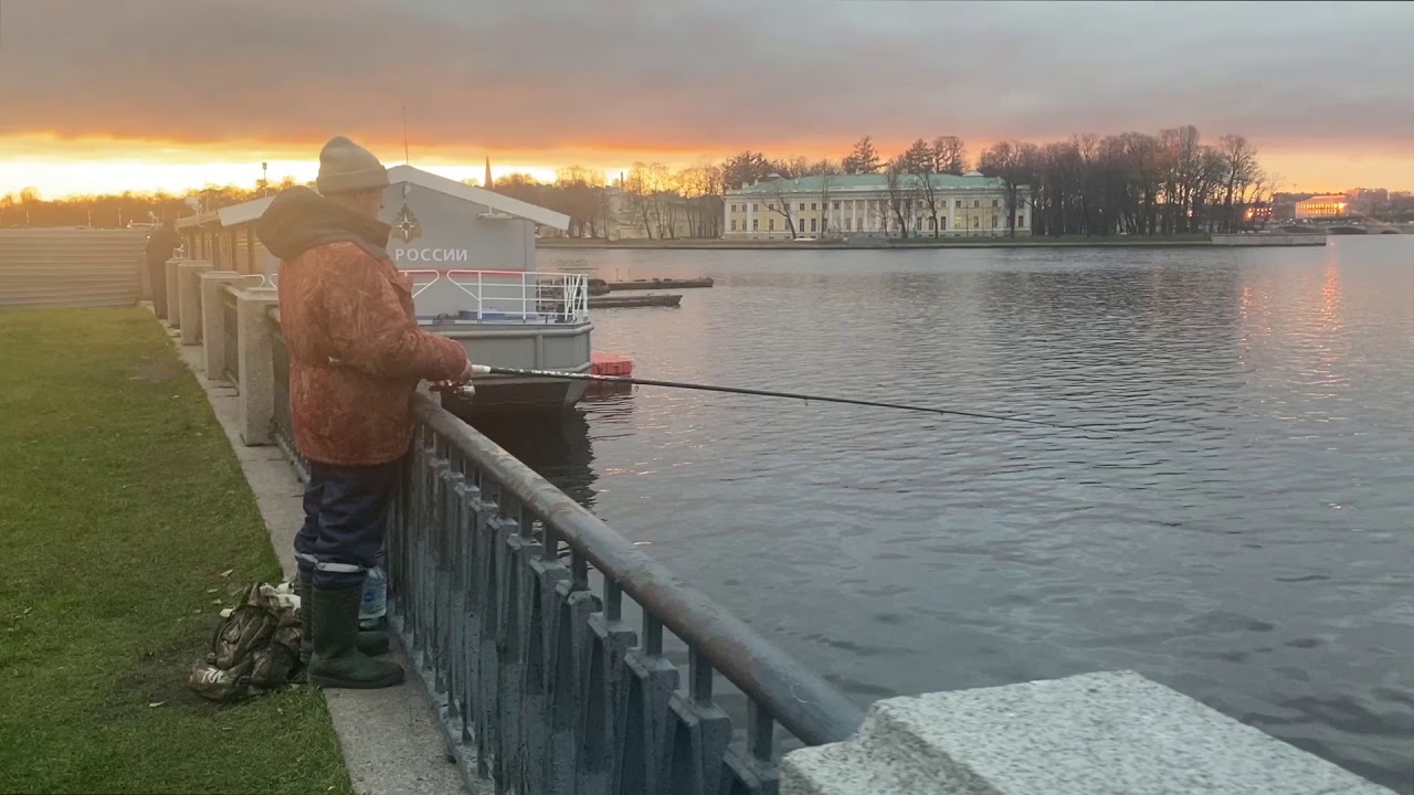 Пленарное заседание в рамках форума АСИ «Сильные идеи для нового времени»