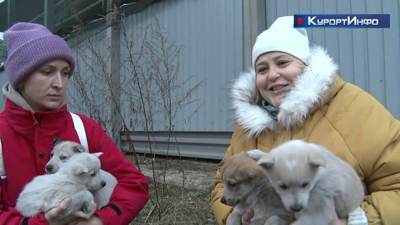 Церемония спуска на воду ярусолова «Марлин» на СЗ «Северная верфь»