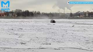 На Свердловской набережной спасли вмёрзшую в лёд чайку — для...