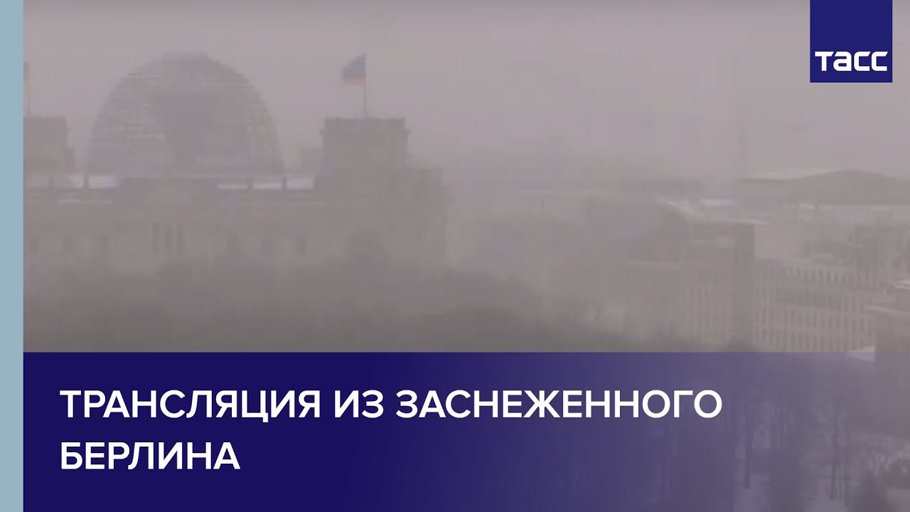 Возможно, вы забыли, но когда центр Петербурга не…