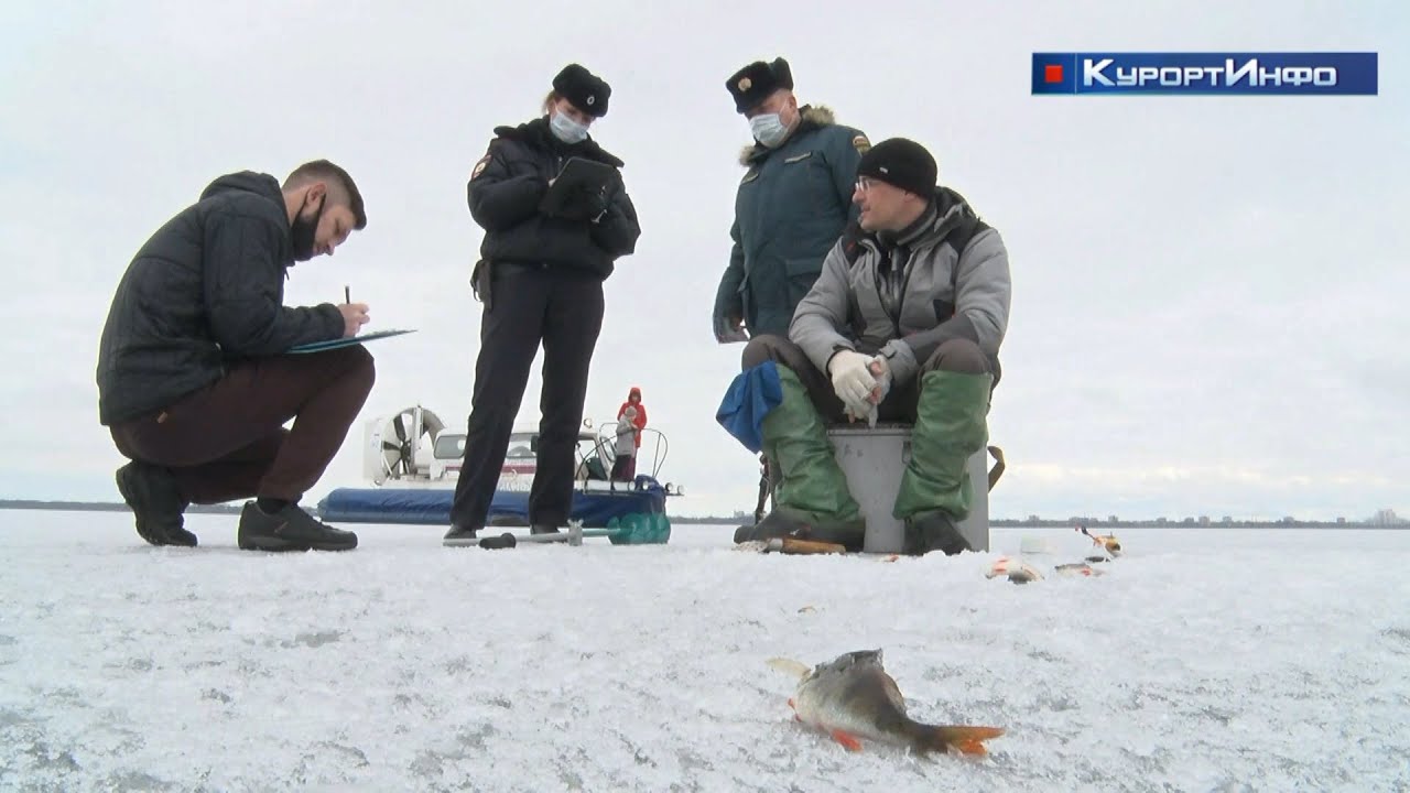 Граффити с Даниилом Хармсом рискует слиться с цветом дома…