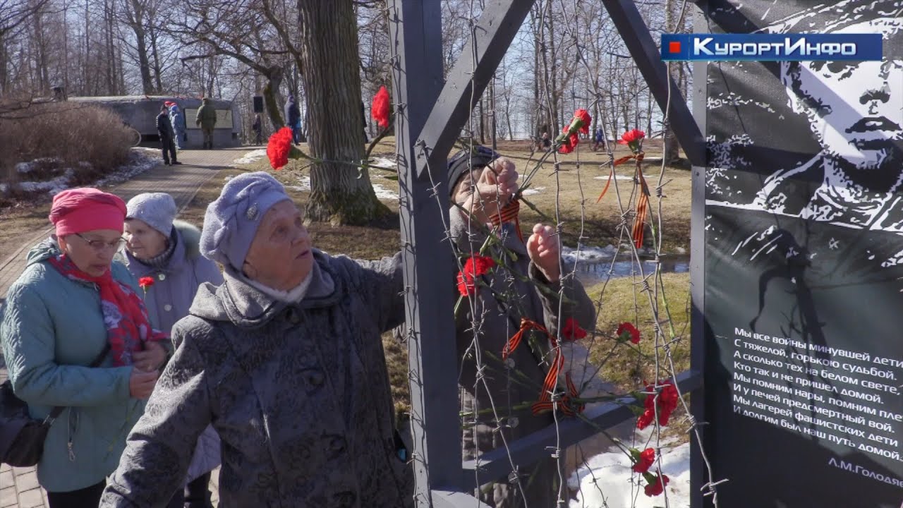 Жители Сестрорецка написали «Тотальный диктант»