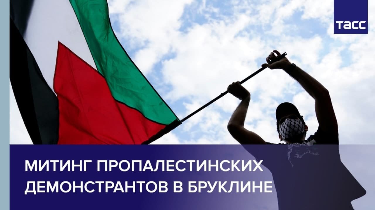 Аркадий Гершман: Плюсы деревянных окон и двери с помоек. Как петербуржцы спасают город.