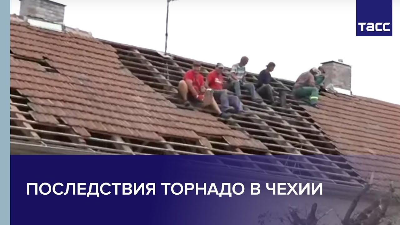 Акция по сбору помощи приютам для животных состоялась в Сестрорецке