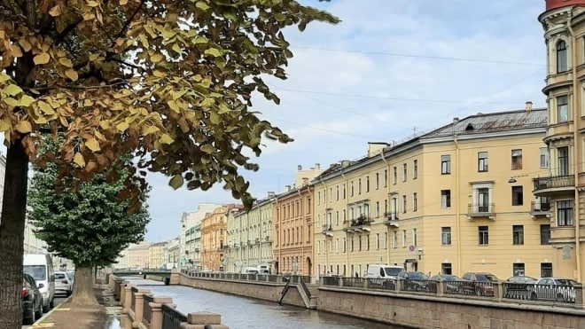 ​Циклон сохранит в Петербурге дождливую погоду 4...