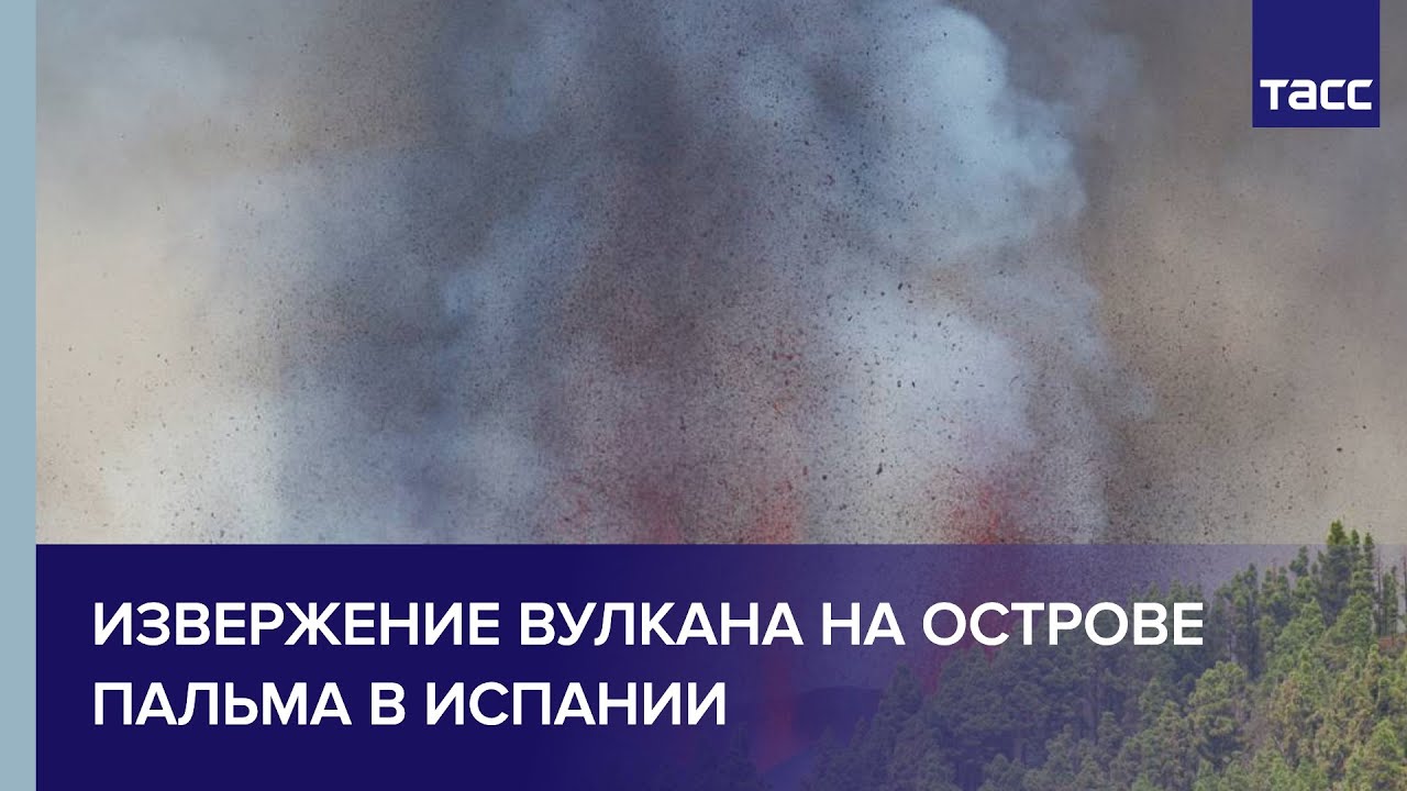 ​В пожаре на Петровской набережной погиб…