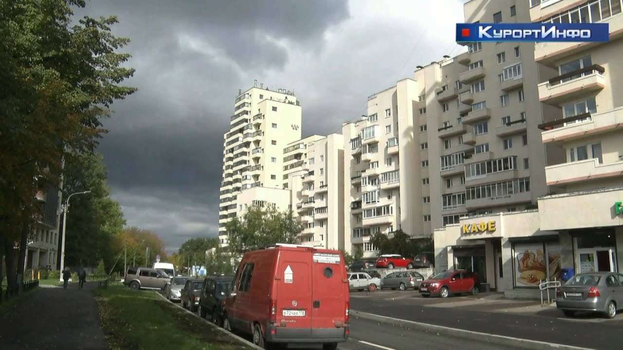 О напутствиях народным избранникам спрашивали у жителей Сестрорецка в дни голосования