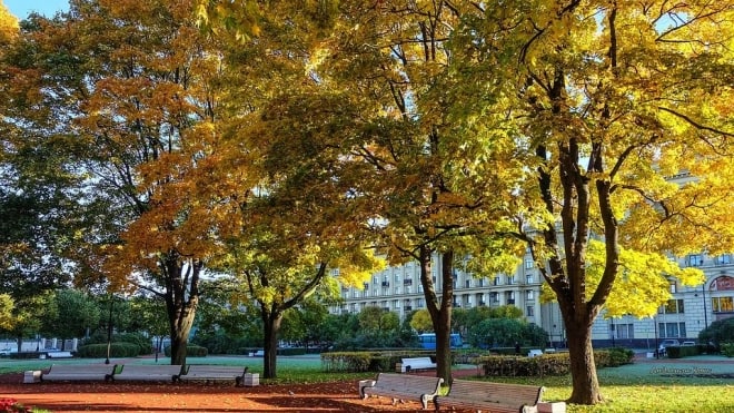 ​В четверг в Петербурге будет облачно, но без...