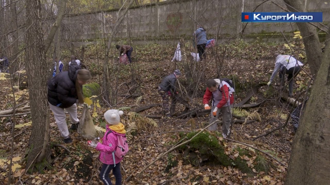 Курортный район как и весь Петербург продолжают зачищать от нелегальных такси