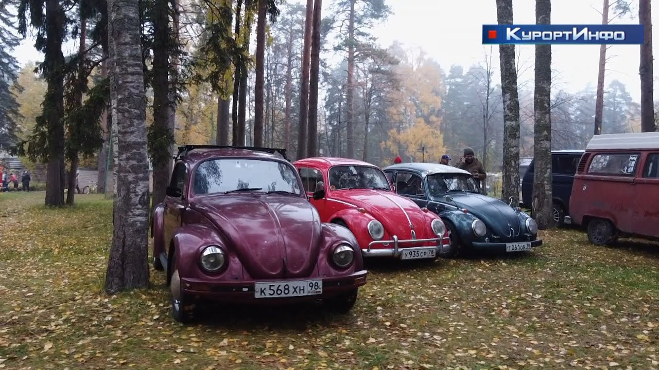 Петицию в защиту лесопарка «Гагарка» подписывали на прошедшем эко-субботнике