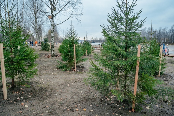 Александр Беглов: Крупные городские проекты и...