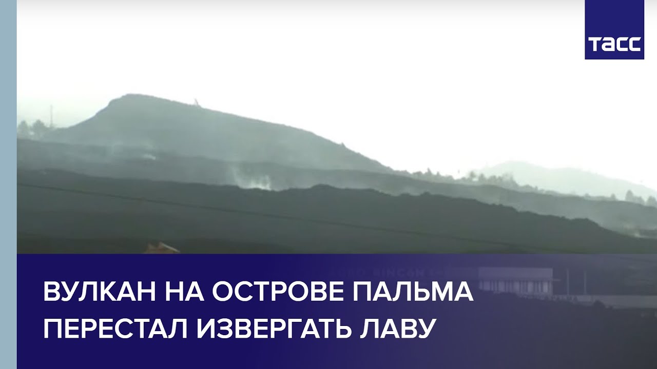 Новости СПбГУ: «ЗаБРОШенные» и «Восстание лайтбоксеров» в музее Набокова СПбГУ