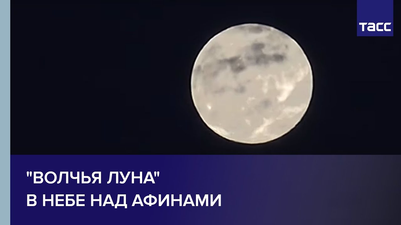 Заседание комитета Европарламента по иностранным делам по Украине