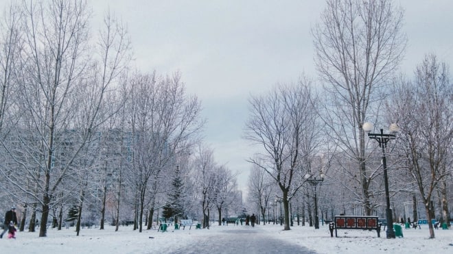 СтопХамСПб — Бурные эмоции