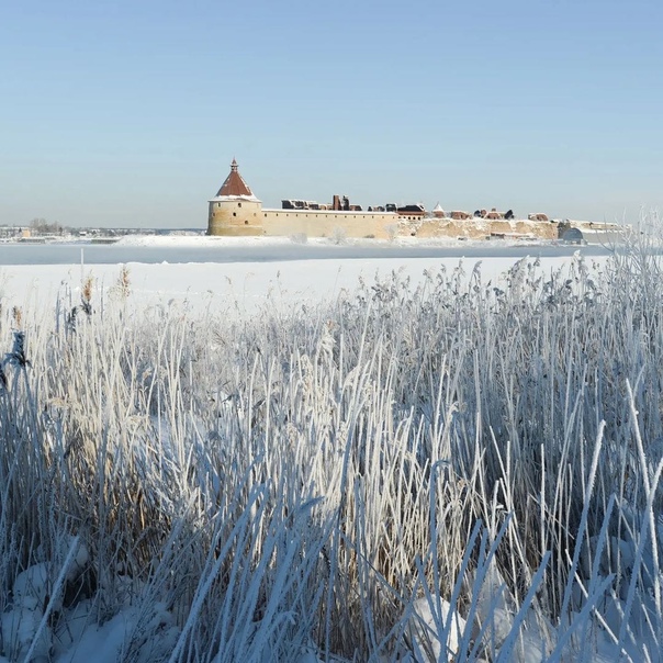 Александр Дрозденко: В #Россия и #ленобласть...