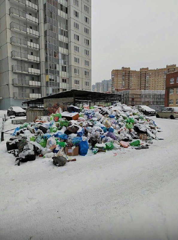 ​Петербуржцы с начала года жалуются на мусорный...