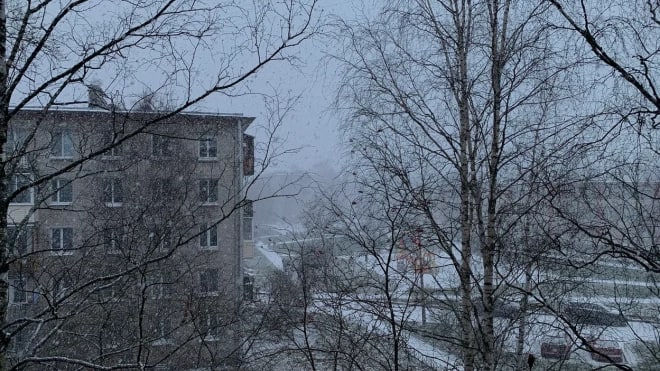 ​Жителей Ленобласти предупредили о мокром снегеНа…
